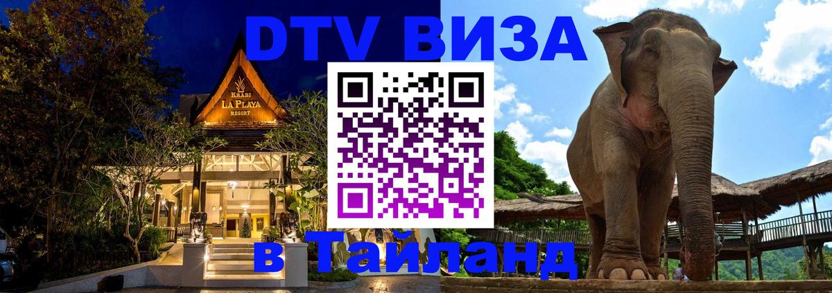 Как сделать DTV визу в Тайланд Ватикан 